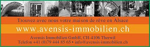 Avensis Immobilier